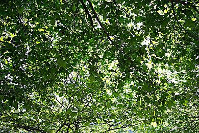 根本就没新作！《罪恶装备》制作人辟谣新作取消传闻